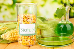 Trebarber biofuel availability